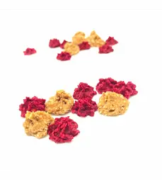 pusinky-I-scaled-e1674488215961