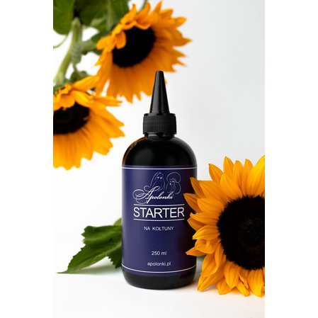 starter-na-koltuny-1